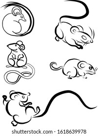 Rat vector.Chinese new year 2020.red and gold.Lantern and gold money.wealth and rich on happy new year.