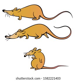 The rat is yellow as a symbol of 2020. Vector illustration. Cartoon rats