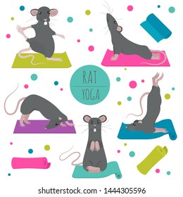 Rat yoga poses and exercises. Cute cartoon clipart set. Vector illustration