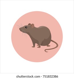 Rat,circle background pink.vector illustration.