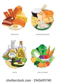 The Ratio consumption balanced diet with the body. Basic nutrition group for daily energy in circle element concept. 