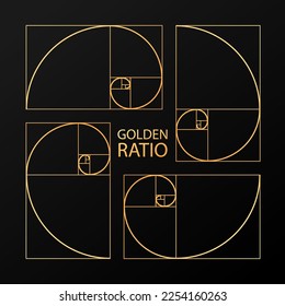 Ration section proportions Vector pattern in golden ratio Fibonacci illustration. Abstract geometry. Vector pattern in golden ratio Fibonacci illustration