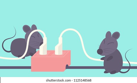 Rats bite power cable and outlet.