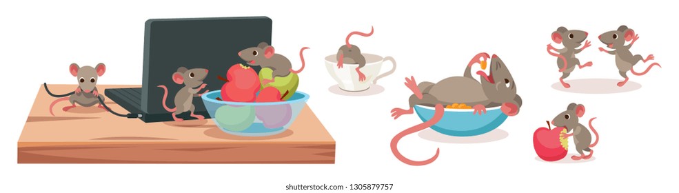 Mice group