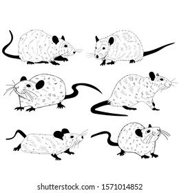  rats, mouse, rodents, black and white silhouette, set