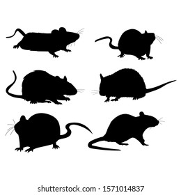 rats, mouse, rodents, silhouette, set, run