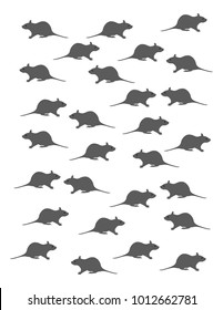 Rats on white background