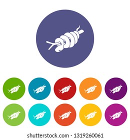 Ratsnake icons color set vector for any web design on white background