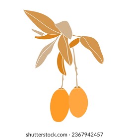 Rótulo de ramas de árboles de mango.Imágenes gráficas.Vector.