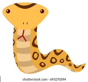 Rattle Snake On White Background Illustration