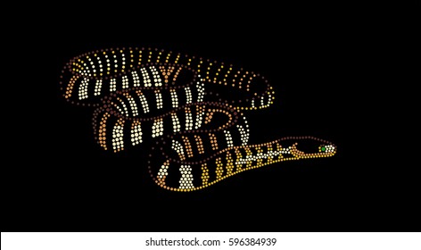 Rattlesnake