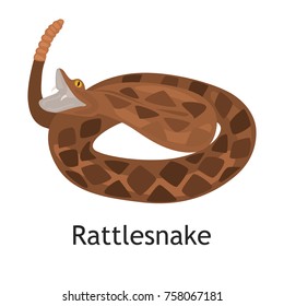 Rattlesnake color flat icon