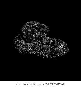 rattlesnake hand drawing vector isolated on black background.