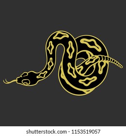 Rattlesnake hand drawn vector illustration o n a grey background. Good for posters, stickers, card, print and other. 