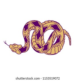 Rattlesnake hand drawn vector illustration. Good for posters, stickers, card, print and other. 