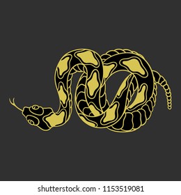 Rattlesnake hand drawn vector illustration on a grey background. Good for posters, stickers, card, print and other. 