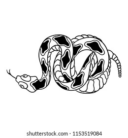 Rattlesnake hand drawn vector illustration. Good for posters, stickers, card, print and other. 