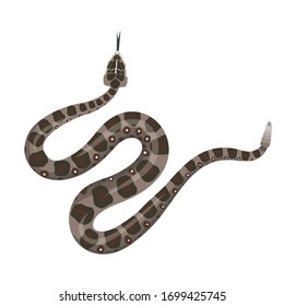 Rattlesnake On A White Background. Icon. Vector