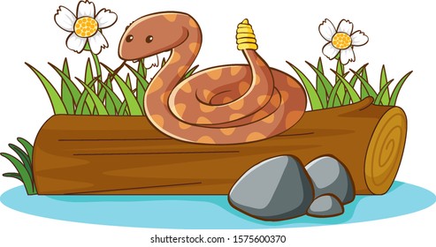 Rattlesnake on white background illustration