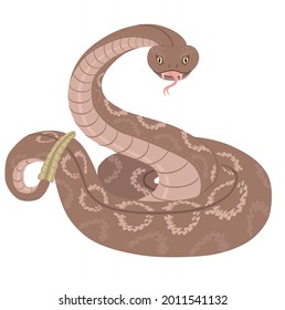 Rattlesnake on white background illustration
