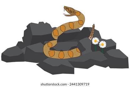 A rattlesnake is slithering around in a pile of rocks