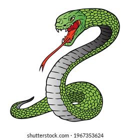 rattlesnake vector illustration,
isolated on white background.top view