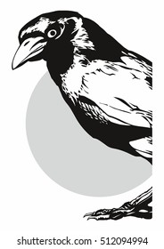 The Raven (1)