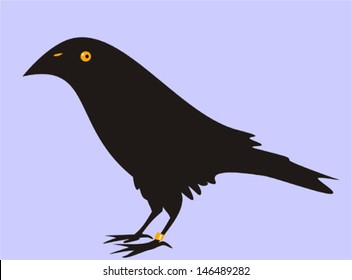 Raven