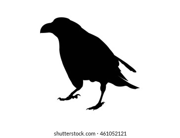 Similar Images, Stock Photos & Vectors of vector Cawing raven ...