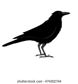 Raven Stock Vector (Royalty Free) 474202744 | Shutterstock