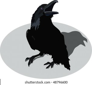 Raven