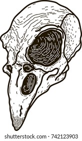 The Raven