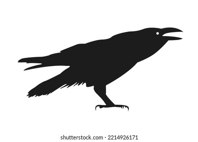 Raven, bird black, vector silhouette