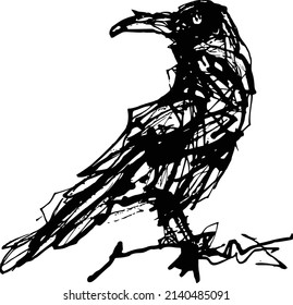 raven bird with closed wings - black and white vector outline