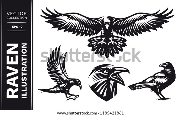 Raven鳥のコレクション ベクターイラスト ロゴ エンブレム 白黒 1色 のベクター画像素材 ロイヤリティフリー
