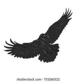 Raven bird design vector 