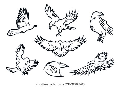 Raven bird or eagle line art hand drawn logo icon vector illustration collection