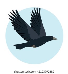 Ave rapaz volando en cielo azul. Icono de cuervo negro. Ilustración vectorial o caricatura para Naturaleza y vida silvestre, observación de aves y diseño ornitológico.