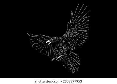 raven bird flying hand drawing vector isolated on black background.