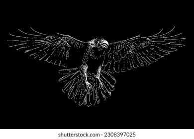 raven bird hand drawing vector isolated on black background.