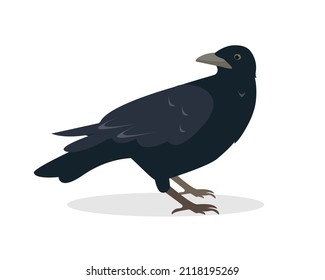 Raven bird icon. Black raven isolated on white background. Vector illustration for Nature and wildlife, birdwatching and ornithology design.