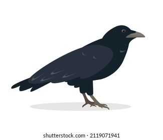 Raven bird isolated on white background. Black raven icon. Vector illustration for Nature and wildlife, birdwatching and ornithology design.