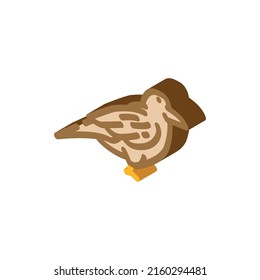 raven bird isometric icon vector. raven bird sign. isolated symbol illustration