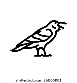 raven bird line icon vector. raven bird sign. isolated contour symbol black illustration