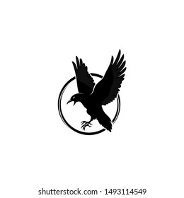 raven bird logo design vector