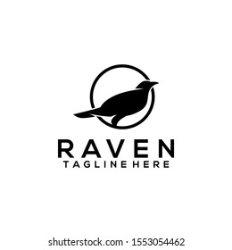 Raven bird logo template vector