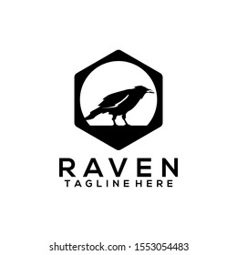 Raven bird logo template vector