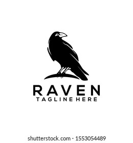 Raven bird logo template vector
