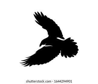 Raven bird logo vector template, Black silhouette of a crow on an isolated background
