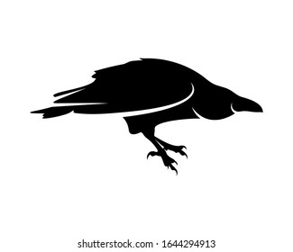 Raven bird logo vector template, Black silhouette of a crow on an isolated background